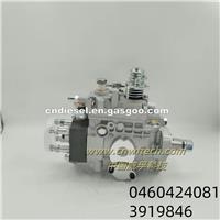 Fuel Injection Pump 0460424081 3919846
