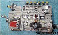 Fuel Injection Pump VG1246080342