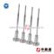 0 445 110 286 Injector Valve Set&0445110145 Injector Valve Set - img1