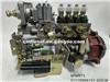 Fuel Injection Pump 4PW873 ​1111000A151-JH2LW