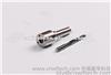 Common Rail DSLA 145P 1091+