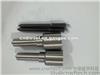 Common Rail DLLA 155P 1062