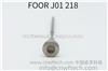 Common Rail FOOR J01 218