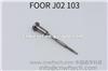 Common Rail FOOR J02 103