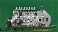 Fuel Injection Pump 0402618813