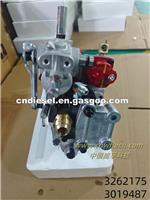 Fuel Injection Pump 3262175 ​3019487