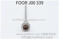 Common Rail FOOR J00 339