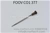 Common Rail FOOV C01 377