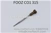 Common Rail FOOZ C01 315