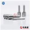 Diesel Common Rail Nozzle 0 433 171 872