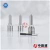 Diesel Common Rail Nozzle 0 433 171 878