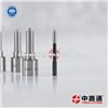 Diesel Common Rail Nozzle 0 433 172 061