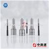 Diesel Common Rail Nozzle 0 433 172 338
