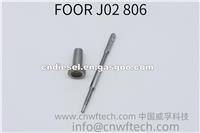 Common Rail FOOR J02 806