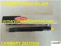 DELPHI Common Rail Injector 28231014 For Great Wall Hover H6 1100100-ED01