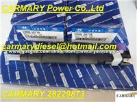 DELPHI Injector 28229873 For Hyundai 33800-4A710 338004A710