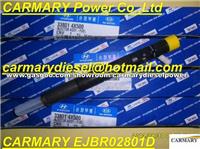 EJBR02801D Delphi Common Rail Injector For Hyundai KIA 33800-4X500