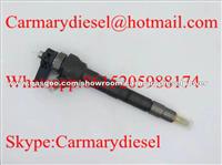 BOSCH Common Rail Injector 0445110369, 0445110368, 0445110646, 0445110647, 03L130855CX