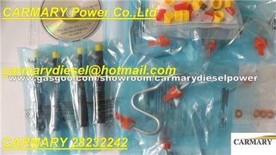 28232242,EJBR04101D,EJBR02101Z DELPHI Common Rail Injector For RENAULT 8200049876,166003978R