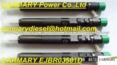 EJBR03501D DELPHI Common Rail Injector For TATA Safari 3.0L