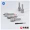 Diesel Common Rail Nozzle 0 433 171 843 - img1