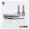 Diesel Common Rail Nozzle 0 433 171 846 - img2