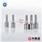 Diesel Common Rail Nozzle 0 433 171 870 - img2