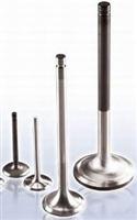 Steel  Engine Valve