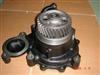 F17C Water Pump