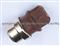 Water Temperature Sensor