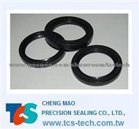 Crankshaft Seals / Camshaft Seals