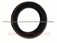 Cummins ISDE Oil Sealing C4890832