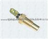 Water Temp Sensor PAI 03-640801