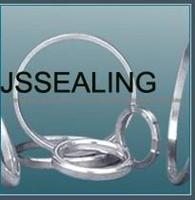 API Gasket Ring JSD-A-013