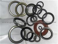 Hydraulic Seal,Mechanical Seal,Automobile Seals