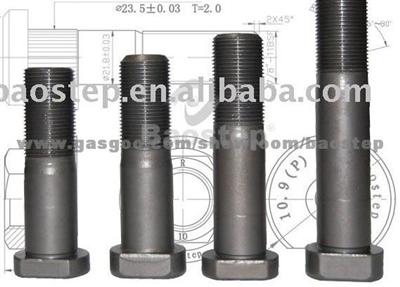 Bolts For MERCEDES BENZ (BSB-509)