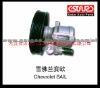 Power Steering Pump for Chevrolet SAIL