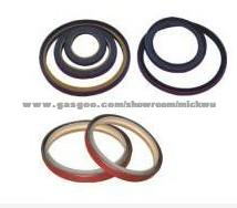 Oil Seals Different Color For You