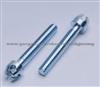 High Precision Screw JW-SCR-010