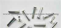 High Precision Rivet For Customized Size JW-RVT-025