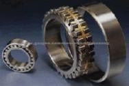 NSK Cylindrical Roller Bearing RS-4856E4