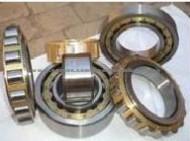 Cylindrical Roller Bearings NUP205ECP