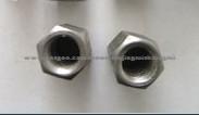 Jinrui Hex Thick Nut