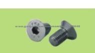 Ss304 Hexagon Socket Countersunk Head Screws