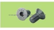 DIN7991 Hexagon Socket Countersunk Head Screws