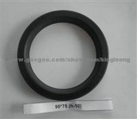 SANA RUBBER Seal 95*75