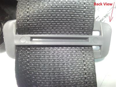 Buy Safety Belts & Buckle