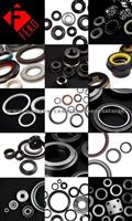 Oil Seals