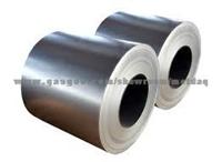 Galvanized Steel Coil