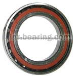 Ceramic Hybrid Bearings